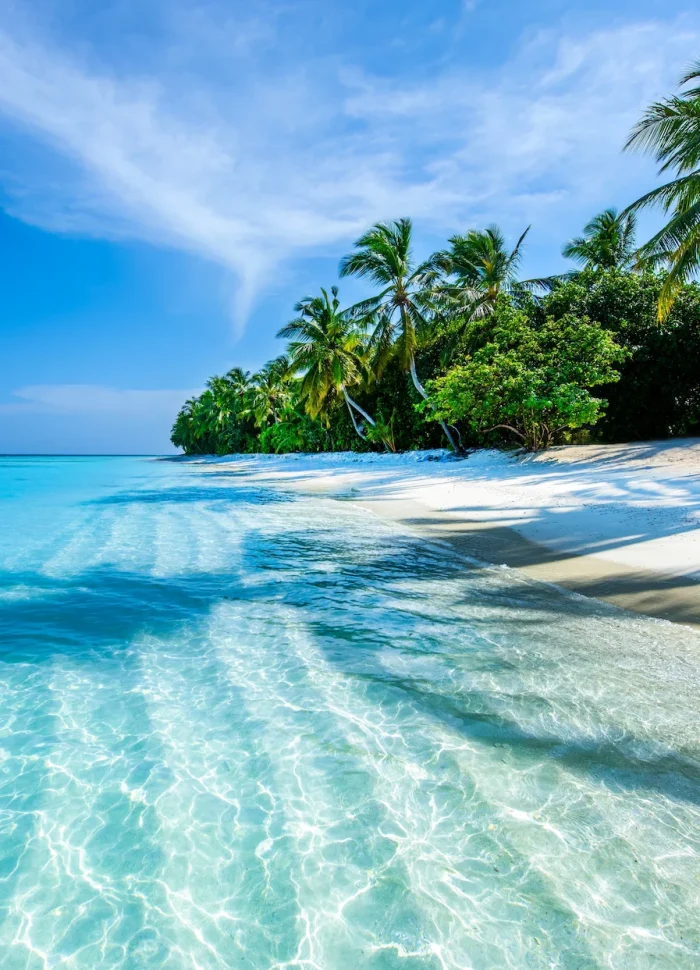 Maldives Img e