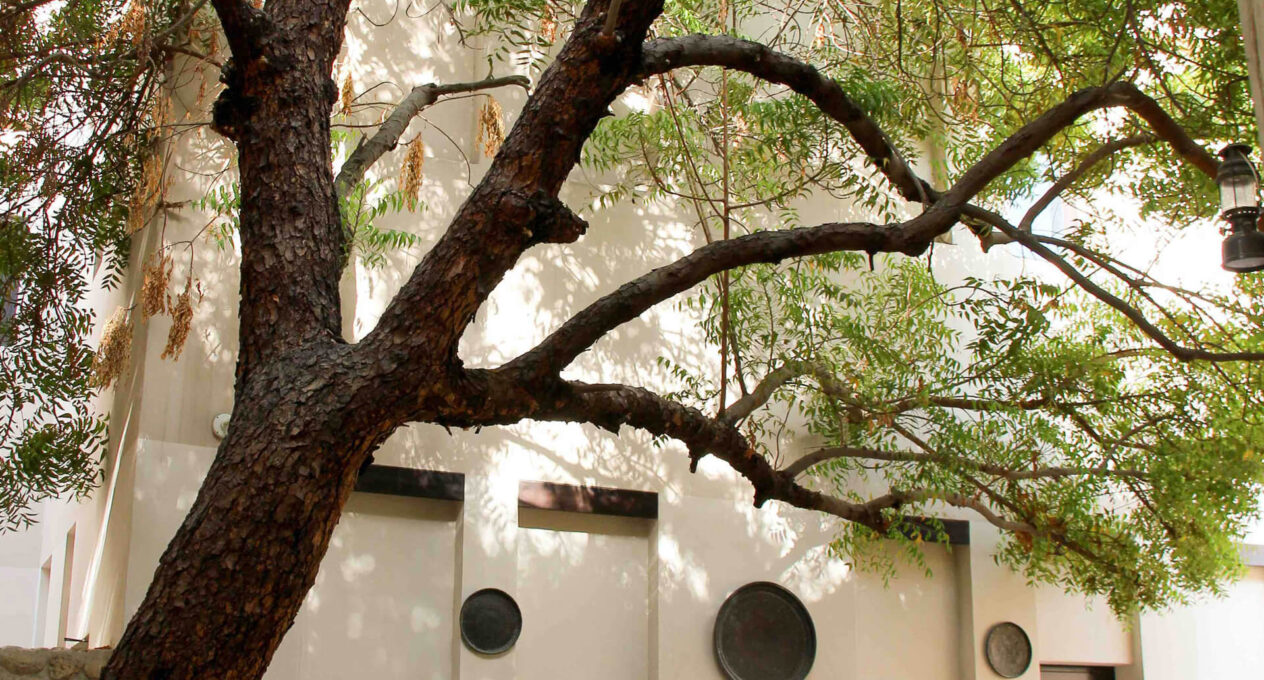 cab sustainability res