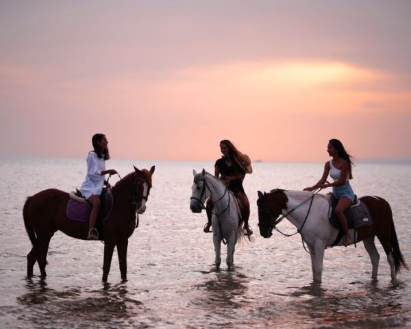 horseridding el gouna